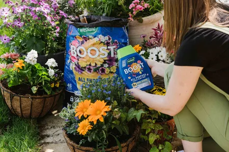 Boost All Purpose Compost 46Ltr - image 2