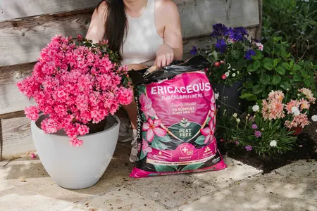 Ericaceous Planting & Potting Mix 50L - image 2