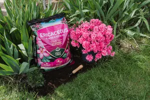 Ericaceous Planting & Potting Mix 50L - image 3