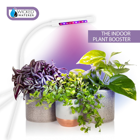 Plant Booster Growlight