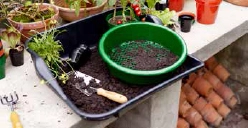 Potting Tray Black - image 2